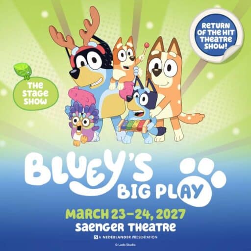 Bluey’s Big Play